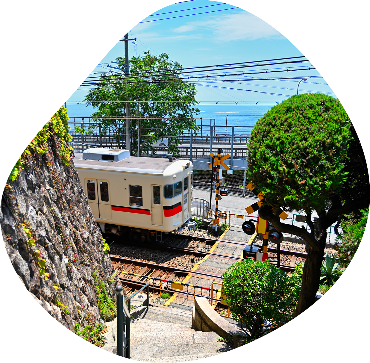 海沿いの踏切を通過する山陽電車と、階段越しに見える青い海の風景